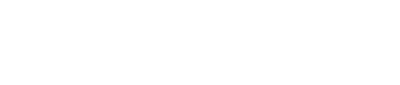 VYSION